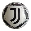 Potiskano dovoljenje za kroglice F.C.JUVENTUS 230 mm 06/174K