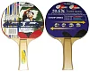 Butterfly Pingpong palica Champ A1