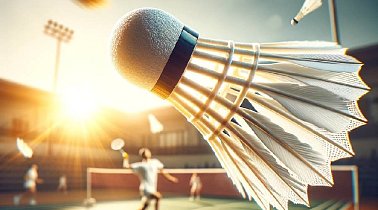 Vodnik po pokalih za badminton