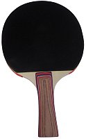 Lopar za ping pong z dvema zvezdicama G1709K